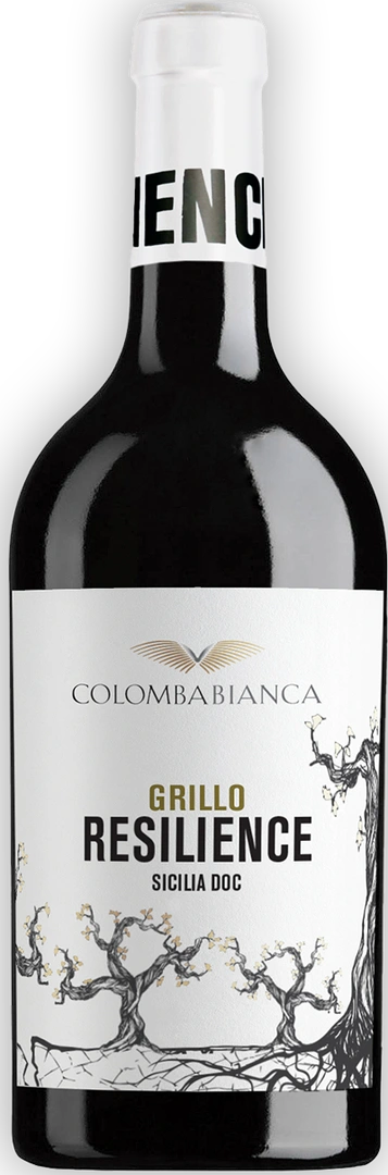 Colomba Bianca Grillo Sicilia Doc