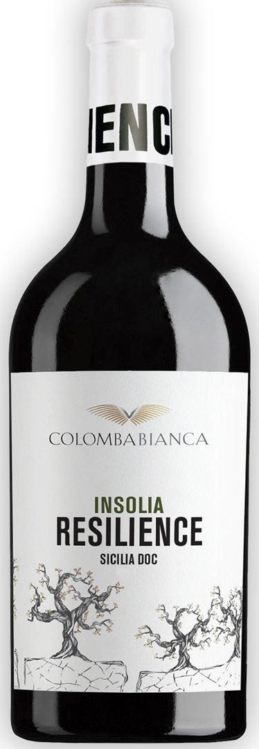 Colomba Bianca Insolia Sicilia Doc