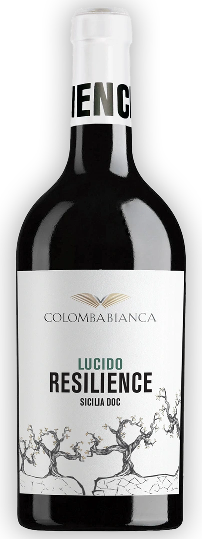 Colomba Bianca Lucido Sicilia Doc